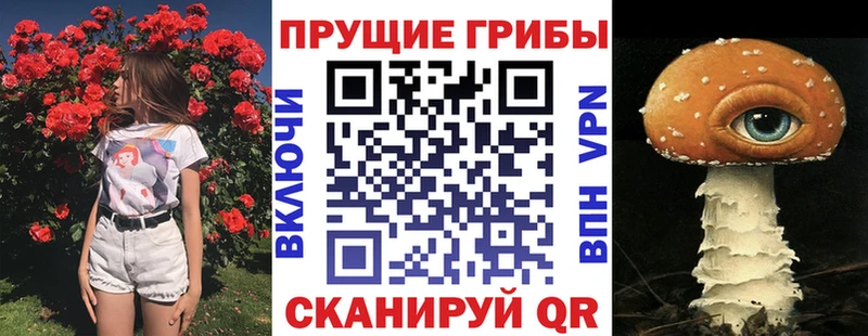 Псилоцибиновые грибы GOLDEN TEACHER  Балабаново 