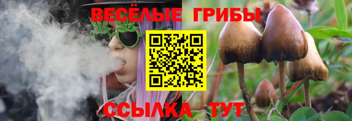 Балабаново  Галлюциногенные грибы Psilocybe  Псилоцибиновые грибы мухоморы  Вход с VPN 
